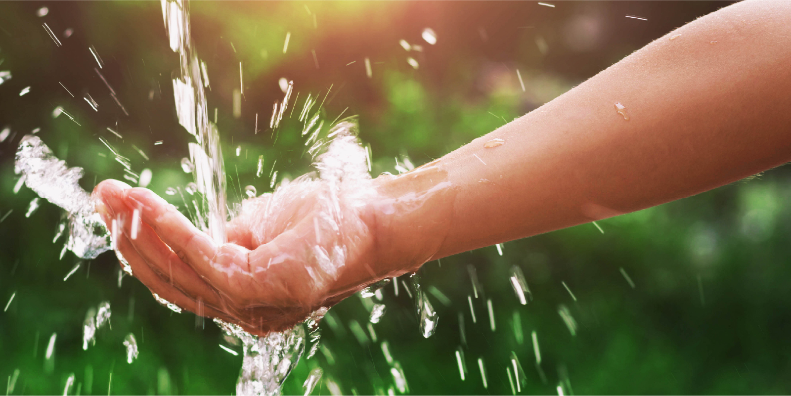 最大5枚までの画像をスライド可能